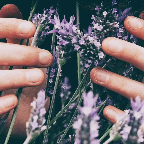 Aroma Yoga - Online Class
